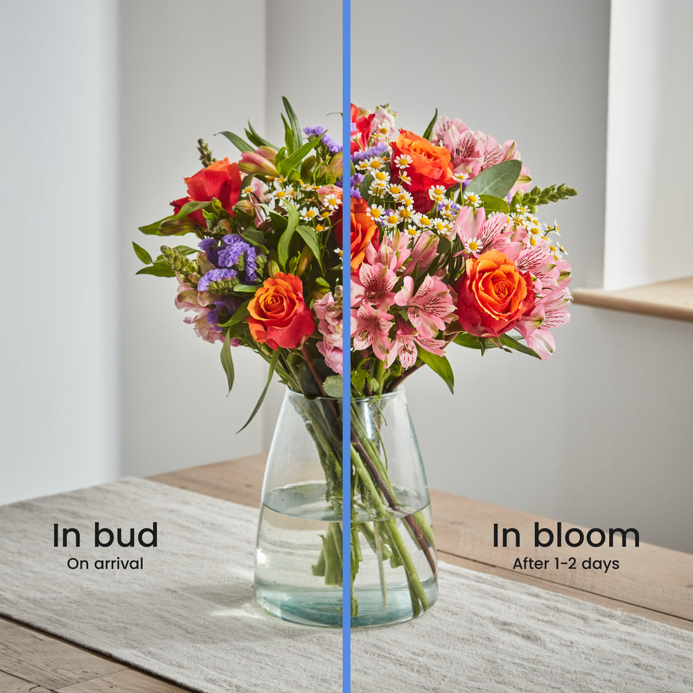 Dawn Promise Bouquet bud & bloom