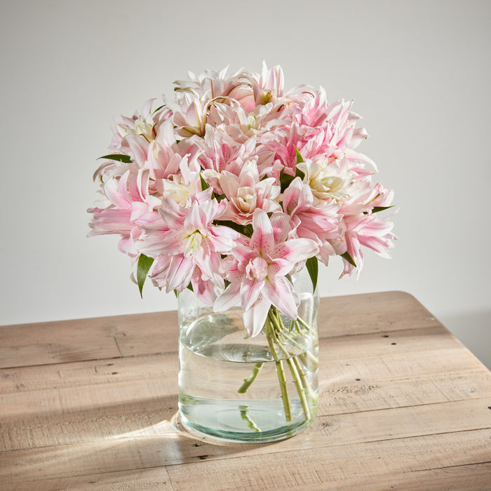 Pink Scented Double Lilies