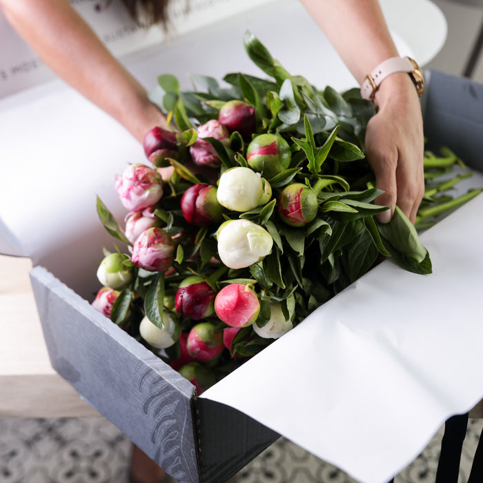 Fortnightly Flower Subscription