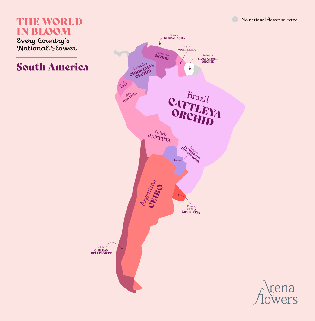 Map of South America